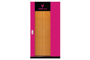 Telescopic 2 Panels Cabin Doors